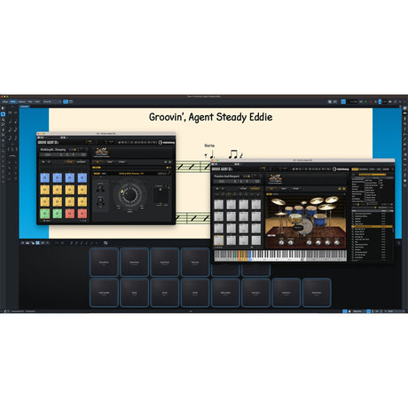 Steinberg Dorico Pro 5 Notation and Composition Software Education Crossgrade Multi Seat School License Only