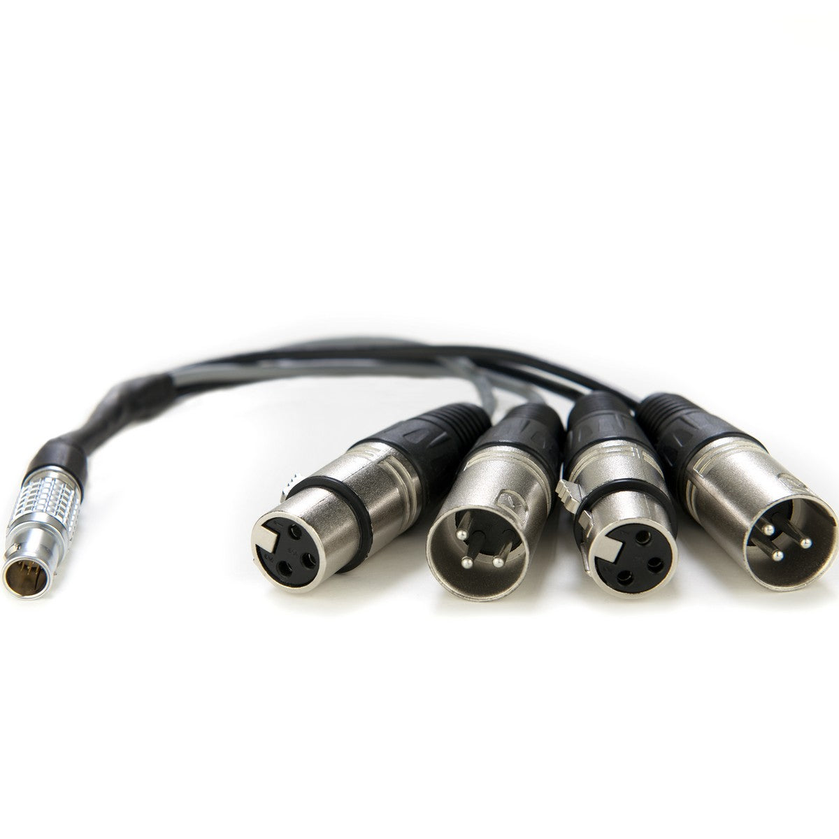 Atomos Lemo to XLR Breakout Cable