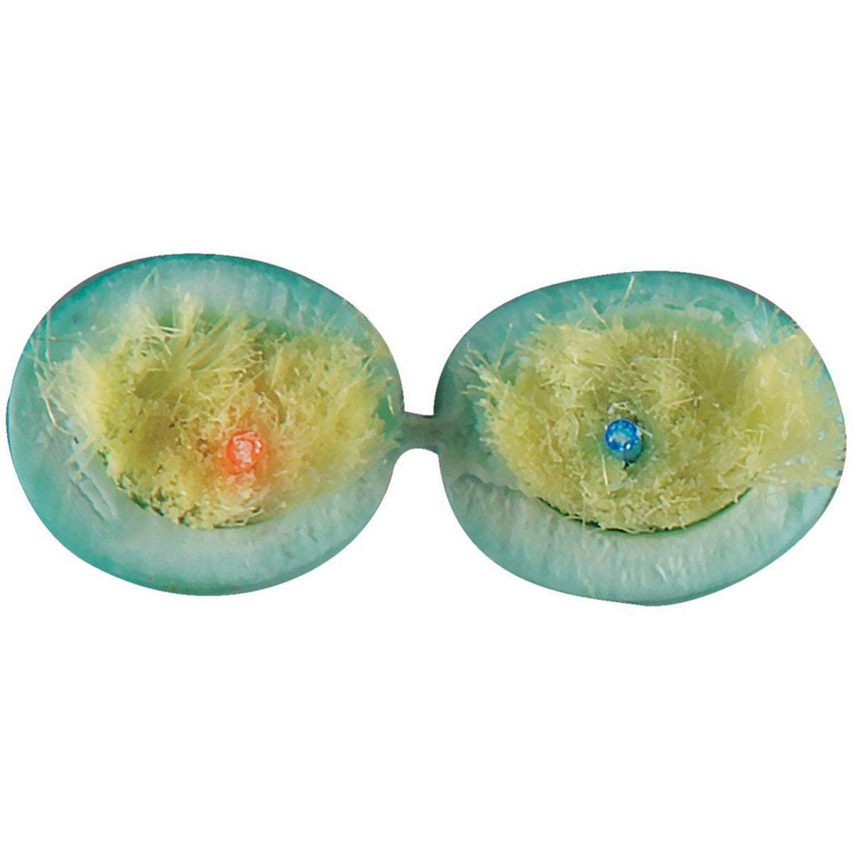 Cleerline D50125MOM3R 1000-Foot Teal Duplex OM3 Multimode Indoor Riser Fiber Optic Cable Reel