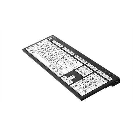 Logickeyboard LKB-BRALPBW-BJPU-US Braille and Largeprint PC Nero Keyboard, American English
