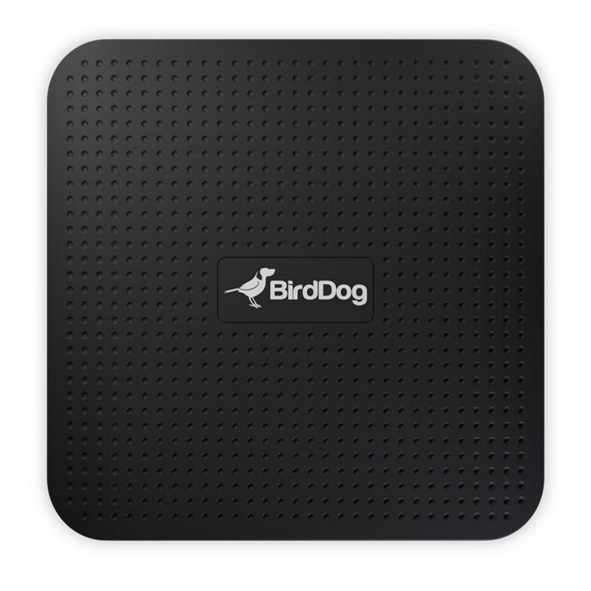 BirdDog Play 4K NDI Player (Used) - used