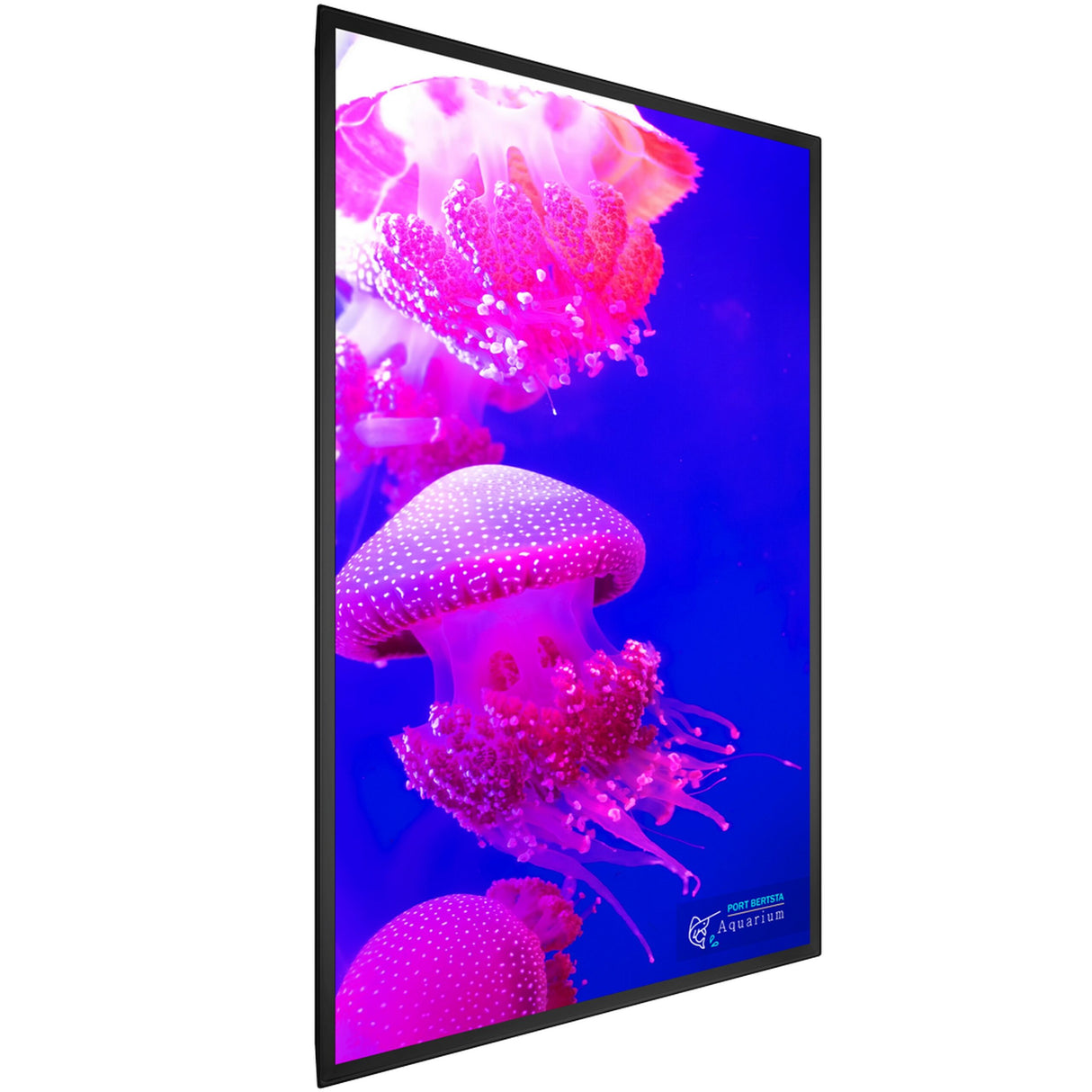 Planar URX75 UltraRes X 75 Inch 4K LCD Display