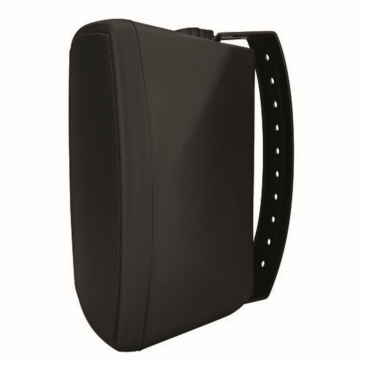 Beale Street Audio W5VB-BSC 5.25-Inch On-Wall Indoor/Outdoor Speaker