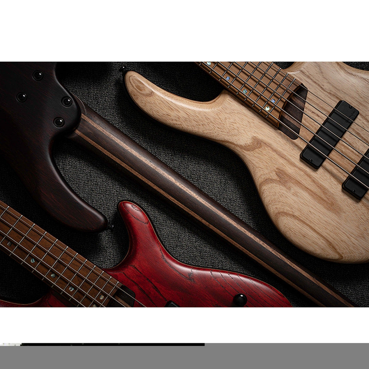 Cort B5 Element 5 String Bass Guitar Transparent Black - guitar