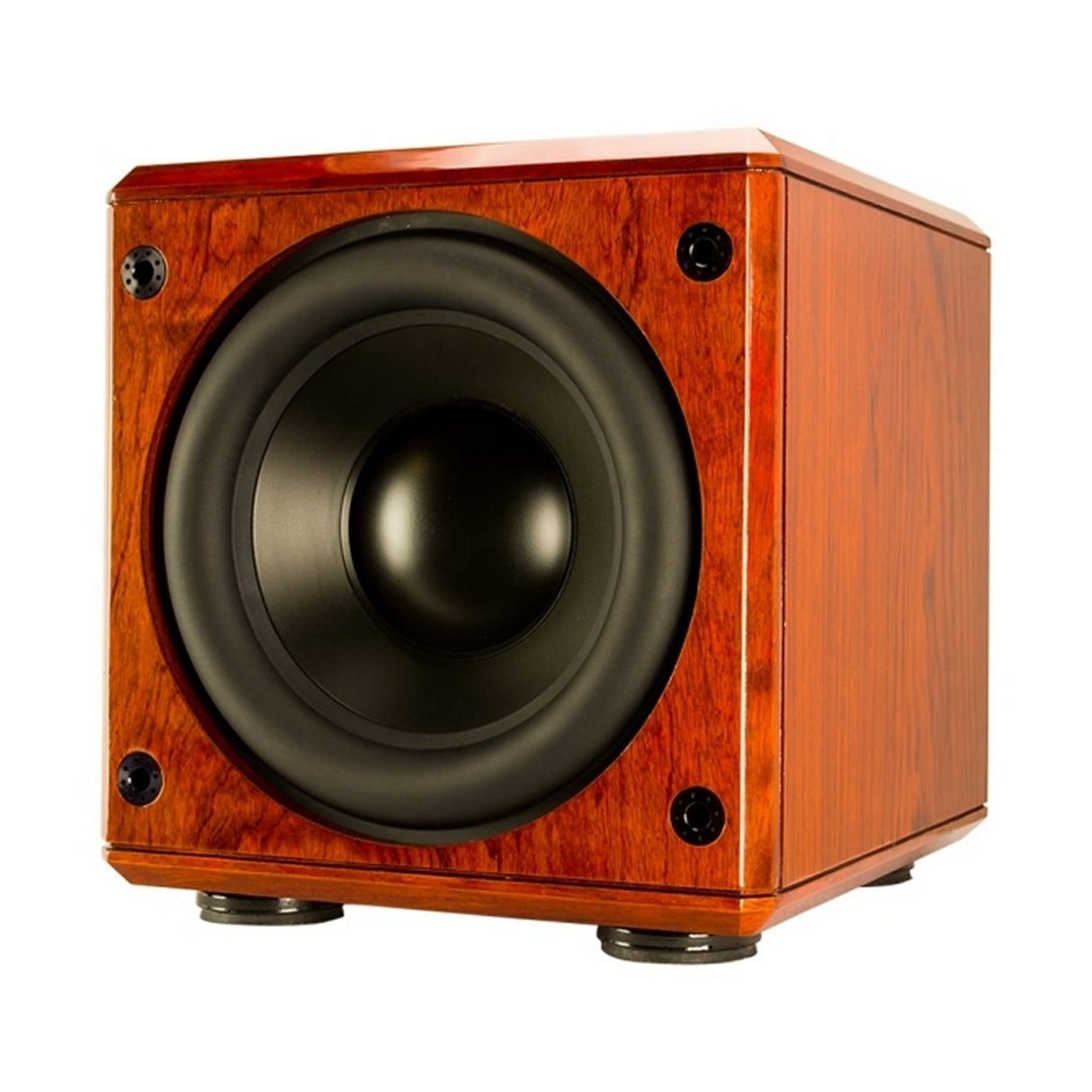 Induction Dynamics SW3 12-inch Subwoofer Black Gloss Bass Enhancement