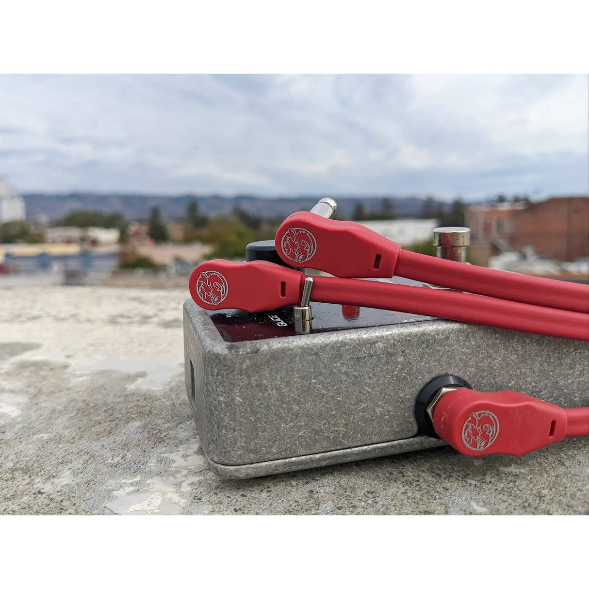 Pig Hog PHLSK Lil’ Pigs Low Profile 1/4-Inch Patch Cables