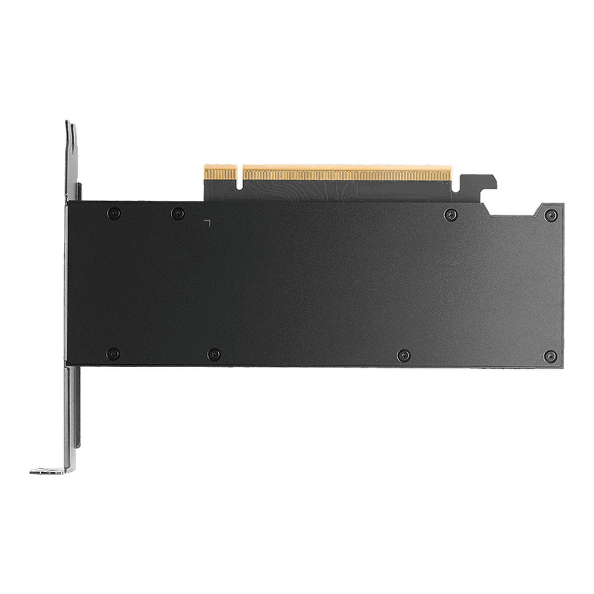 PNY NVIDIA RTX PRO 2000 Blackwell Workstation GPU (16 GB ECC GDDR7)