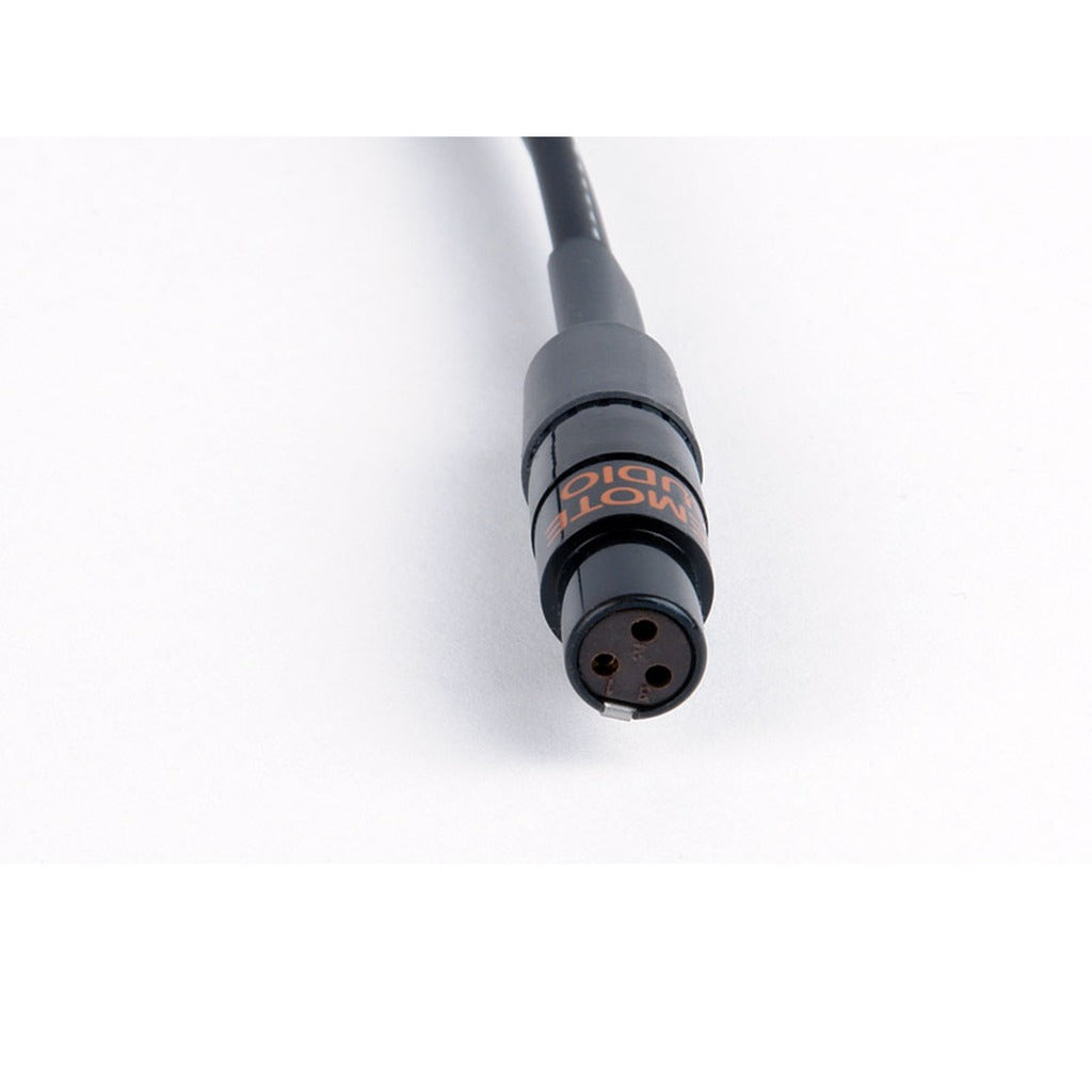 Remote Audio CASD442TOY TA3F to Dual XLR3M Tape/Mix Out Breakout Cable 12 in