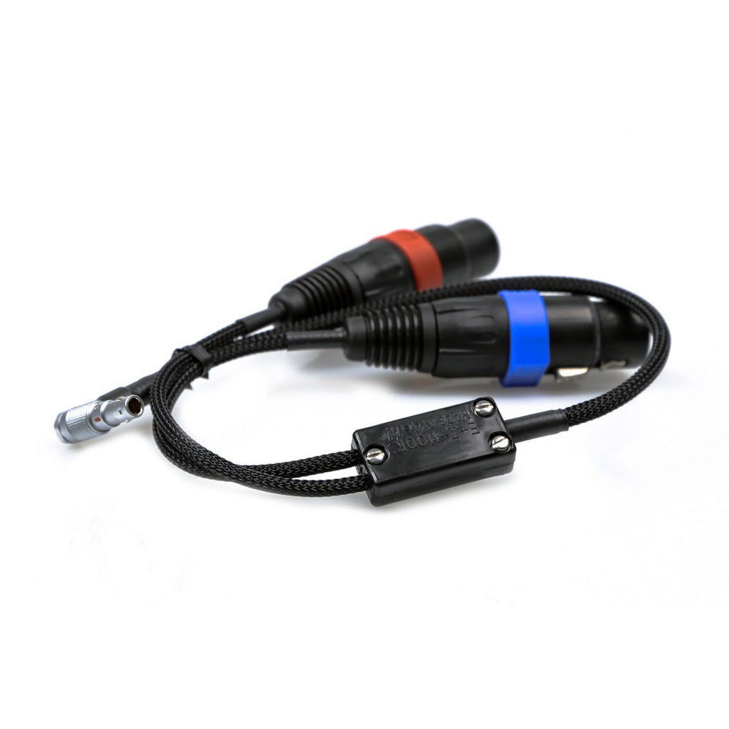 Remote Audio CAXSTEMLR5 Dual XLR3F to RA Mini 5-Pin LEMO Cable for Alexa Mini