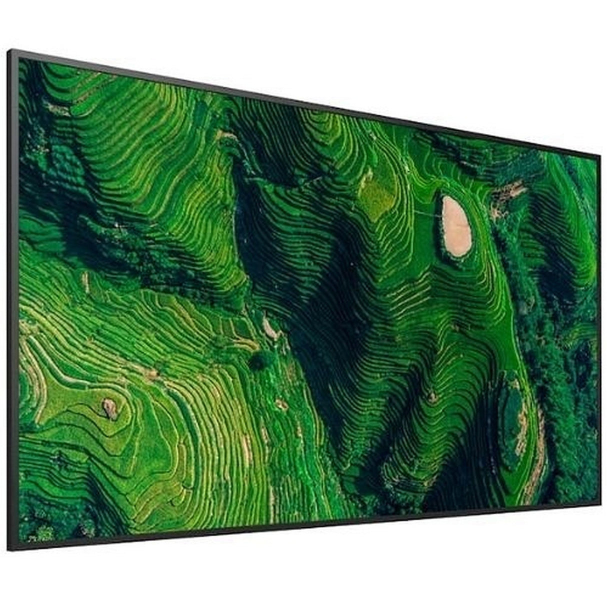 Sony Pro Bravia BZ35P Series 4K HDR Professional Display, 75-Inch