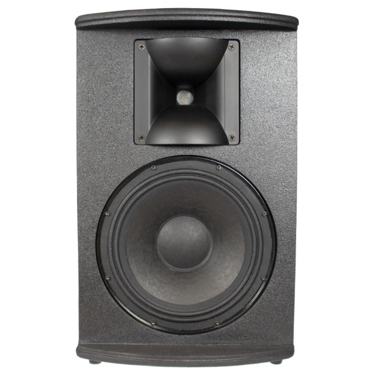 SoundTube PS1090i 10-Inch Passive Performance Series Loudspeaker