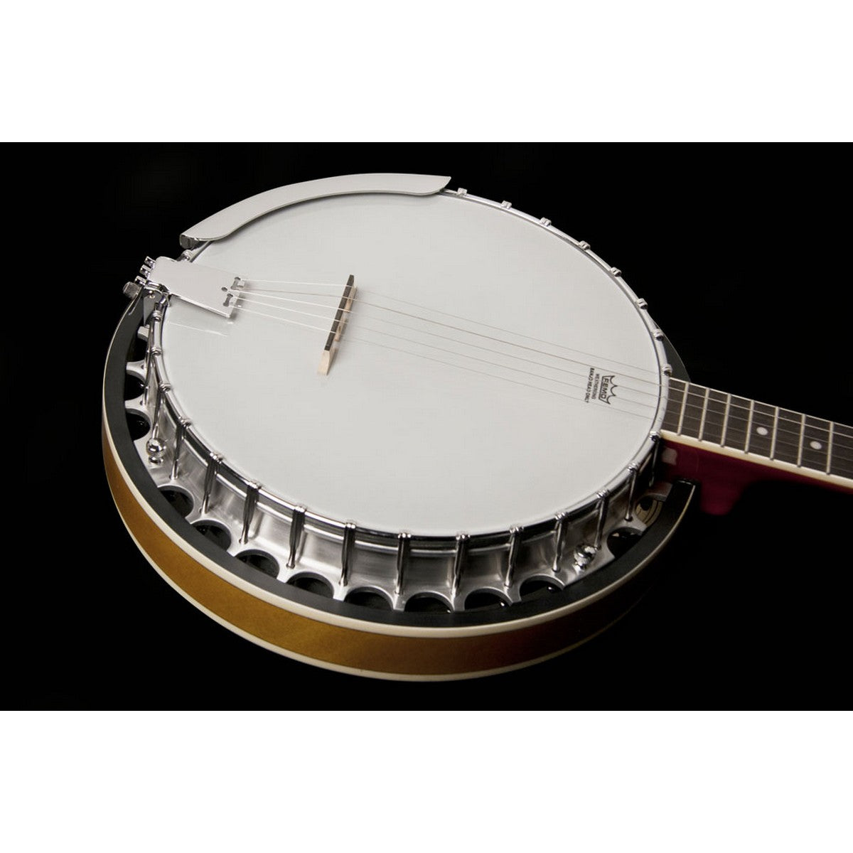 Washburn B9 5-String Americana Series Banjo, Sunburst