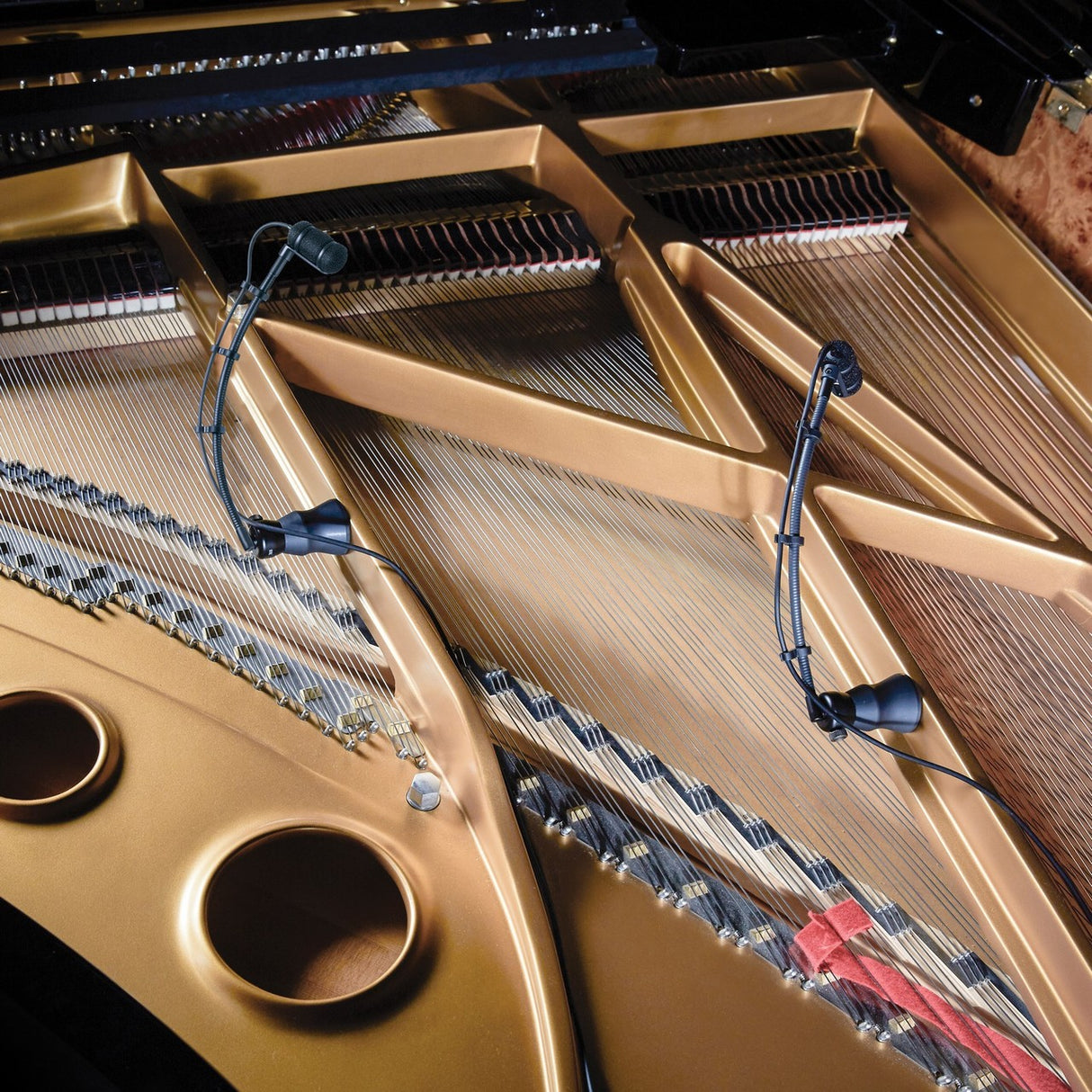 Audio Technica ATM350PL 9 Inch Gooseneck Cardioid Condenser Instrument Microphone with Piano Mount