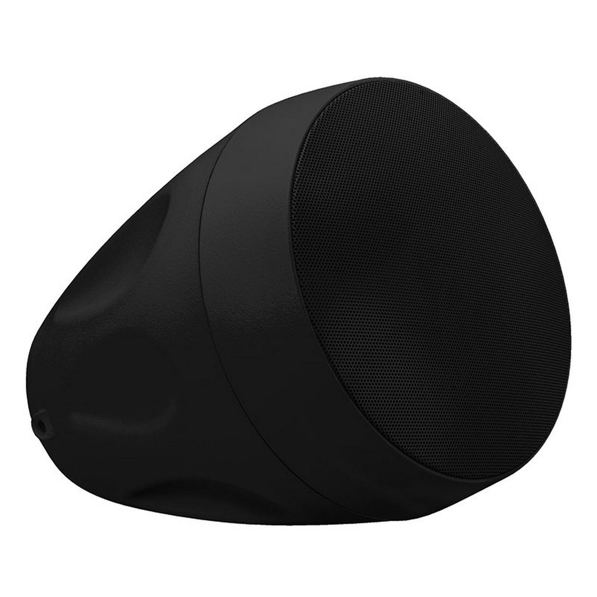 Beale Street Audio WP6V-BSC 6.5-Inch On-Wall/Pendant Speaker 40W Black