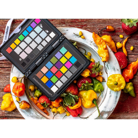 Calibrite ColorChecker Classic XL for Capture and Editing Color Control