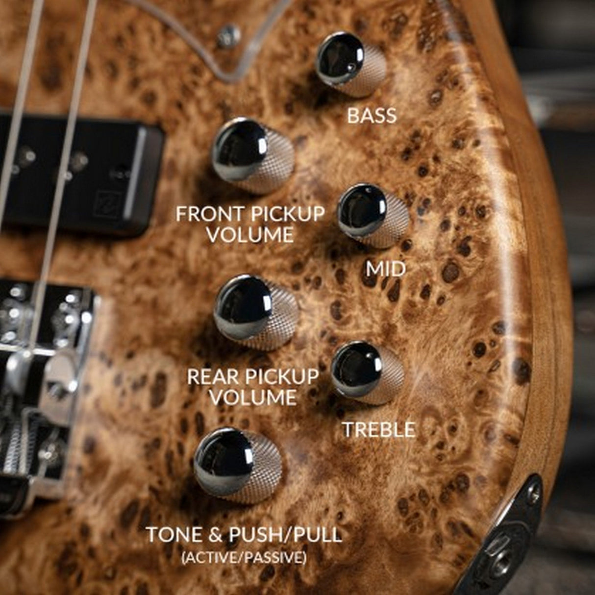 Cort GB-Modern 4 String Bass Guitar with Case - guitar