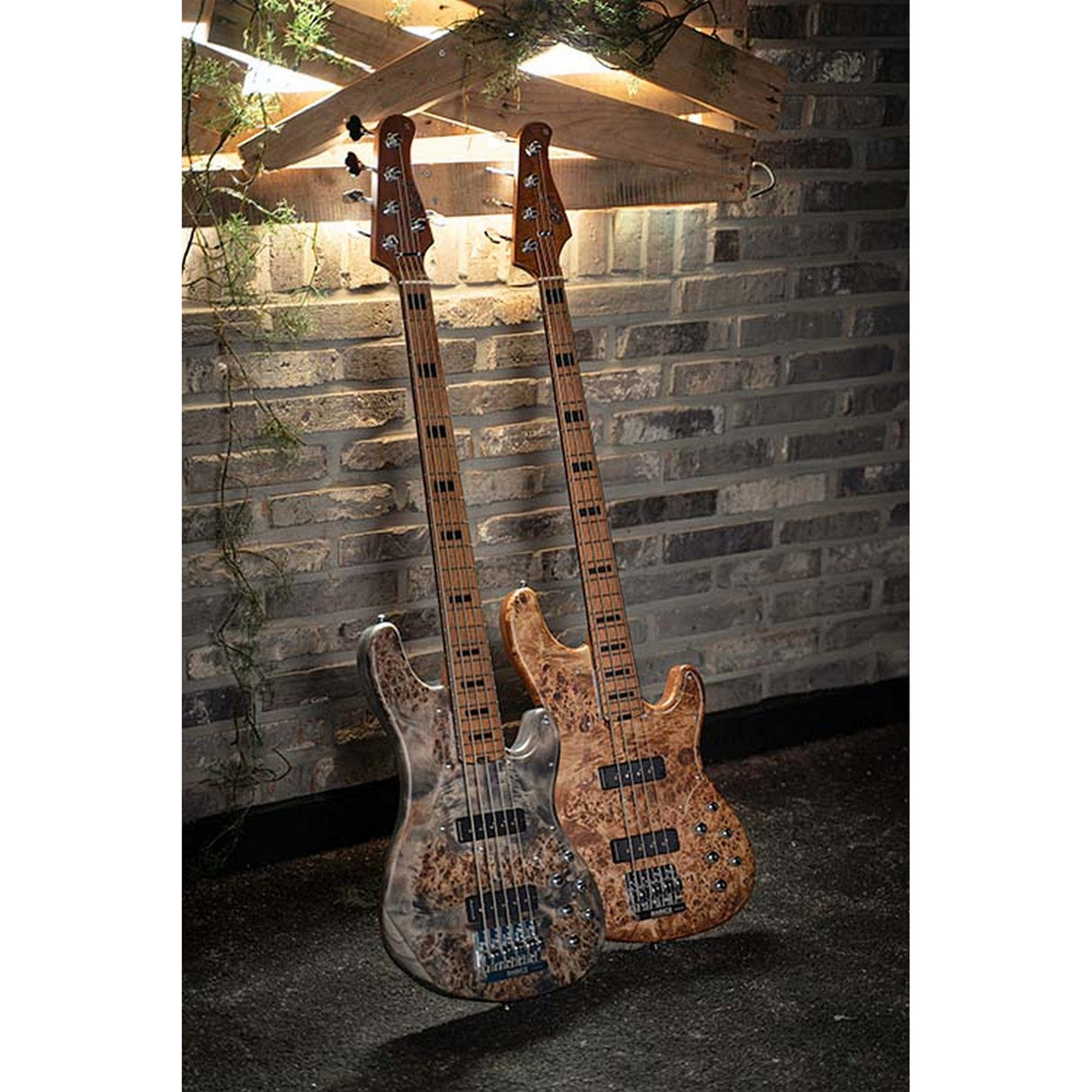 Cort GB-Modern 5 String Bass Guitar with Case - guitar