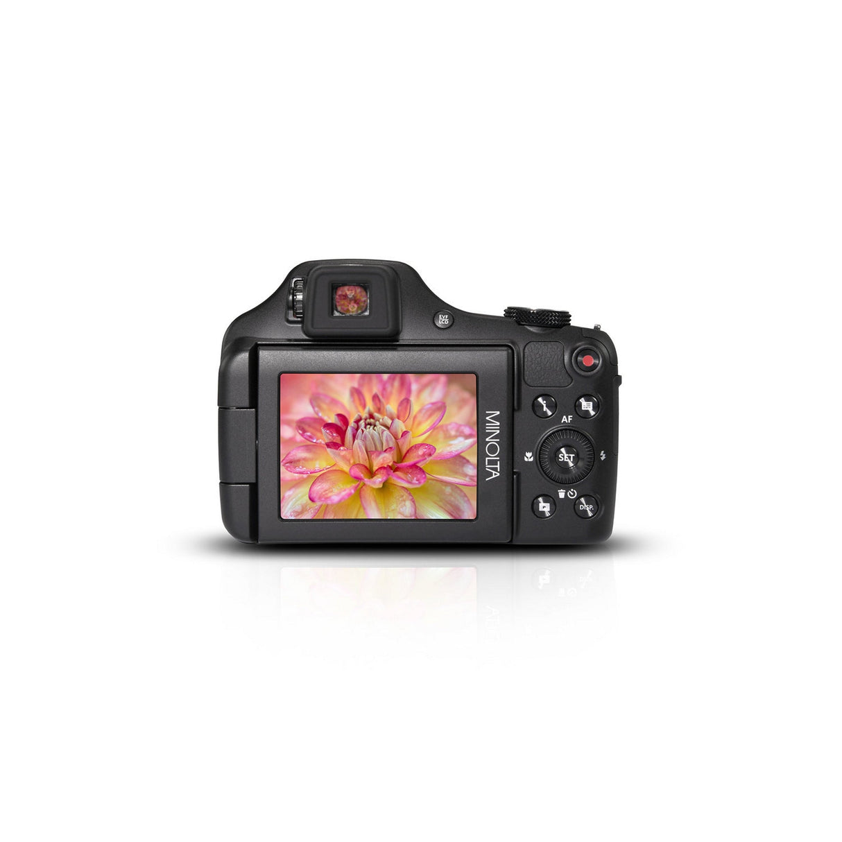 Minolta MN67Z 20 MP 1080p HD Bridge Digital Camera with 67x Optical Zoom Black