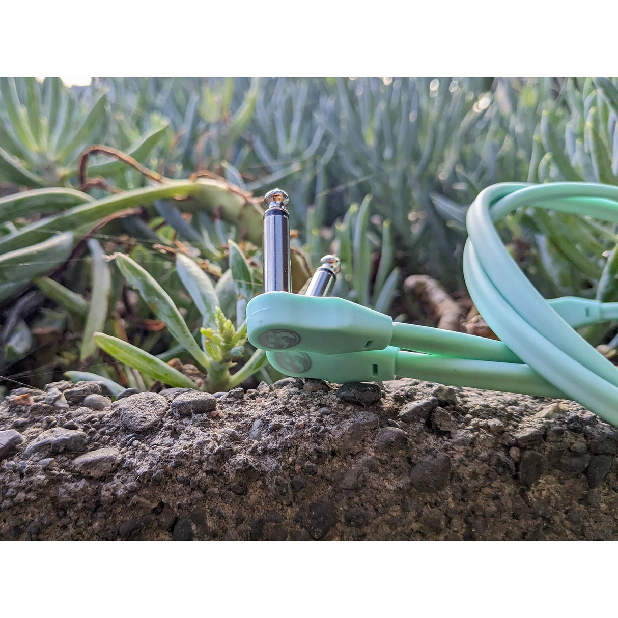 Pig Hog PHLSK Lil’ Pigs Low Profile 1/4-Inch Patch Cables