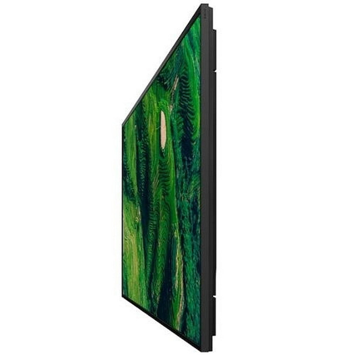 Sony Pro Bravia BZ35P Series 4K HDR Professional Display, 75-Inch
