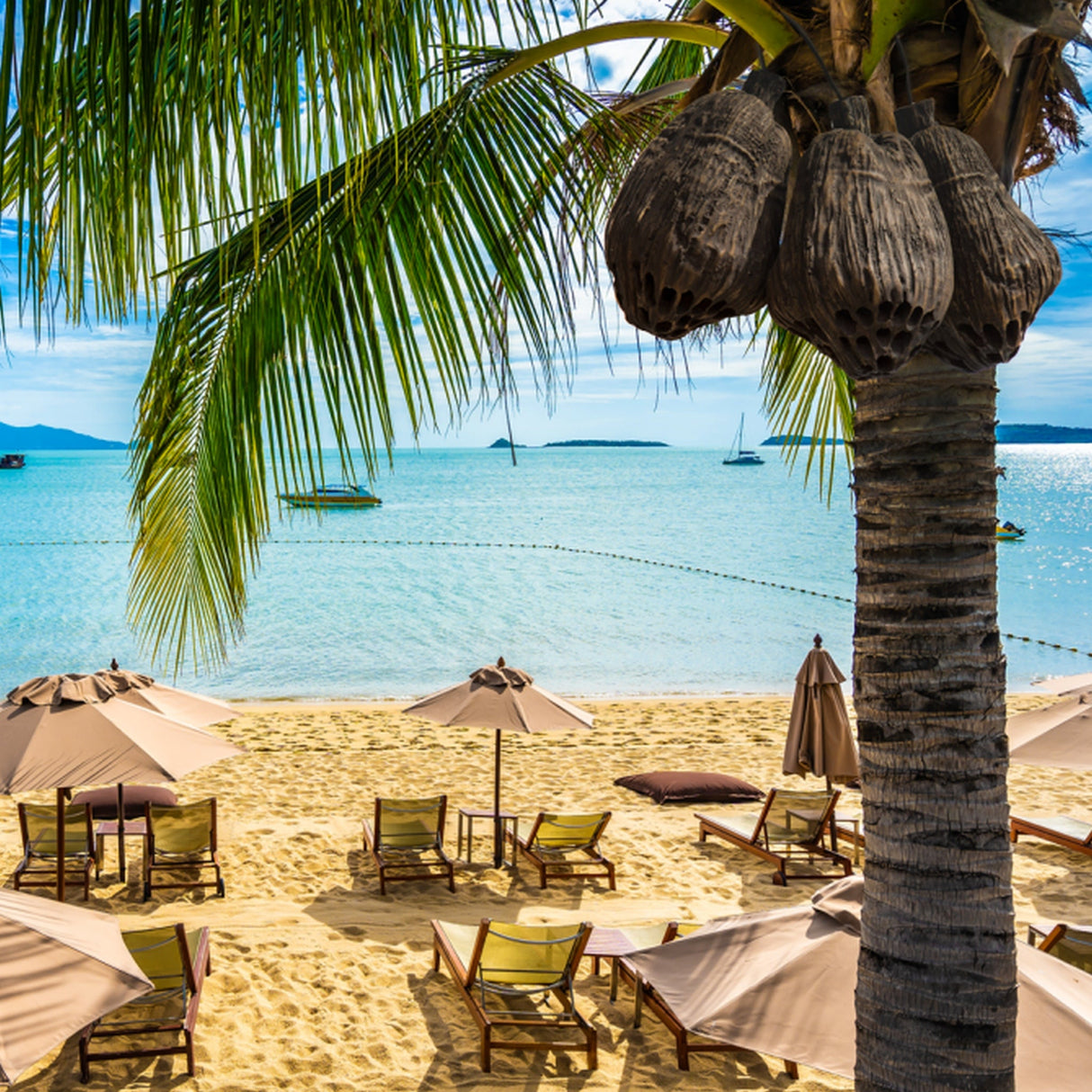 SoundTube COCONUTZ 2-Way Hanging Outdoor Speaker