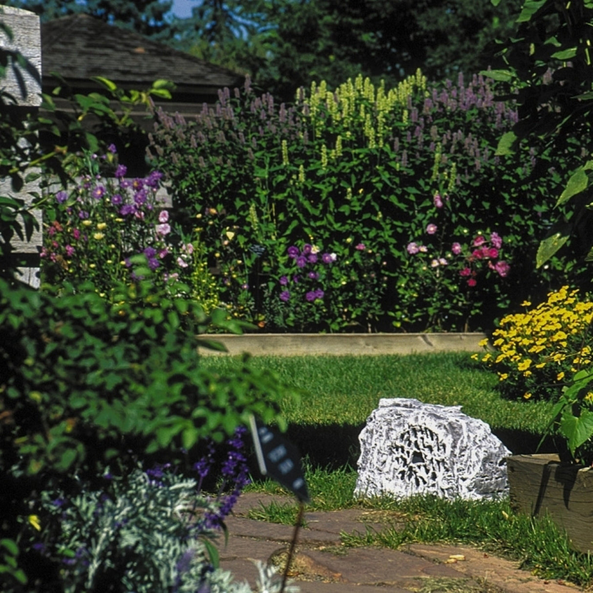 SoundTube EconoRock 6.5-Inch Outdoor Rock Speaker