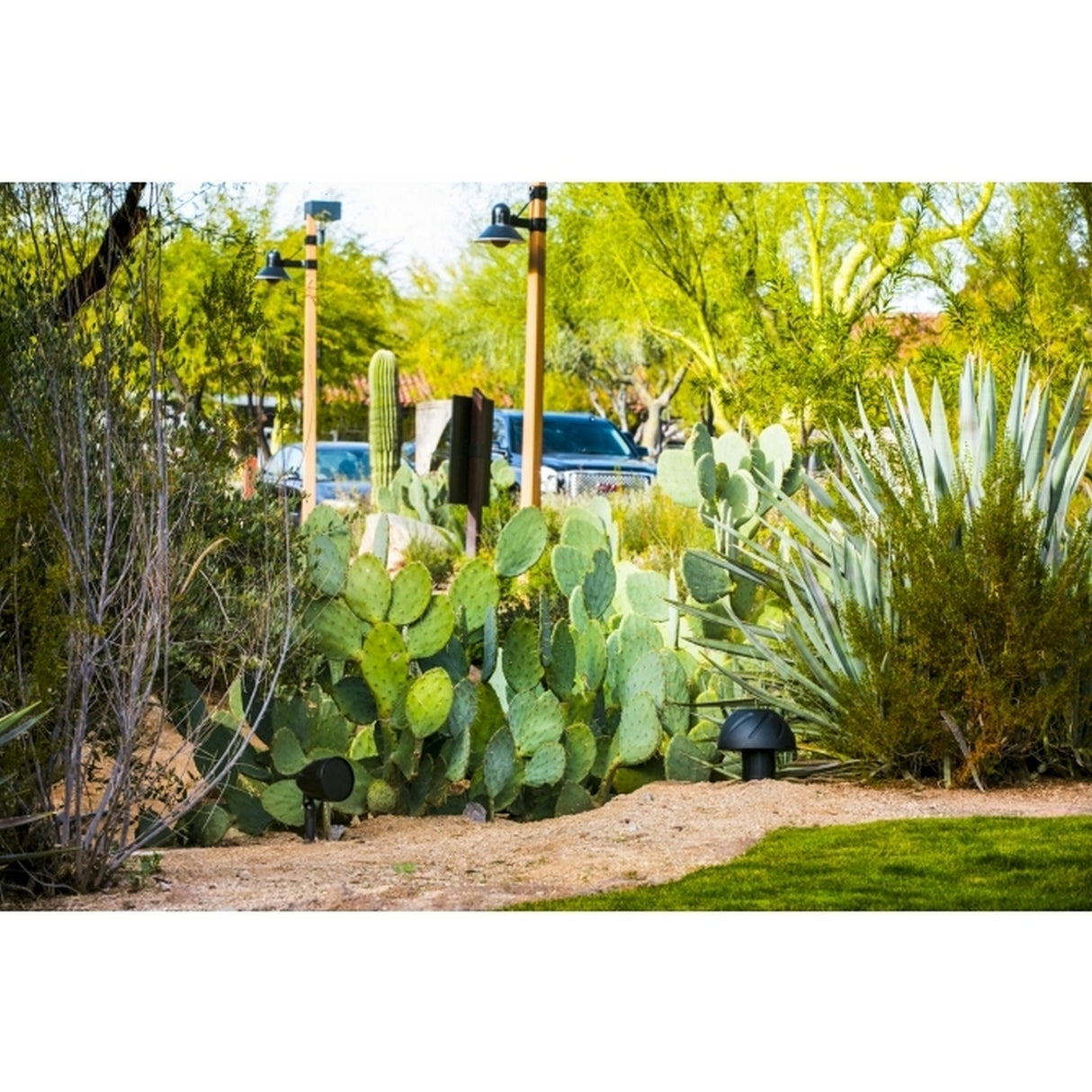 SoundTube Periscape Outdoor Landscape Speaker