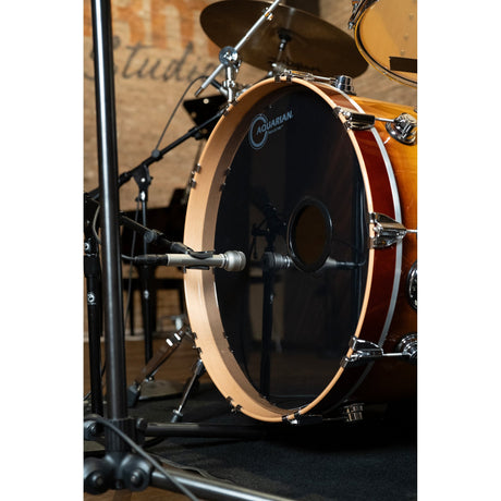 Warm Audio WA-19 Dynamic Cardioid Studio Microphone
