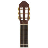 Peavey Delta Woods CNS-2 Classical Nylon String Guitar