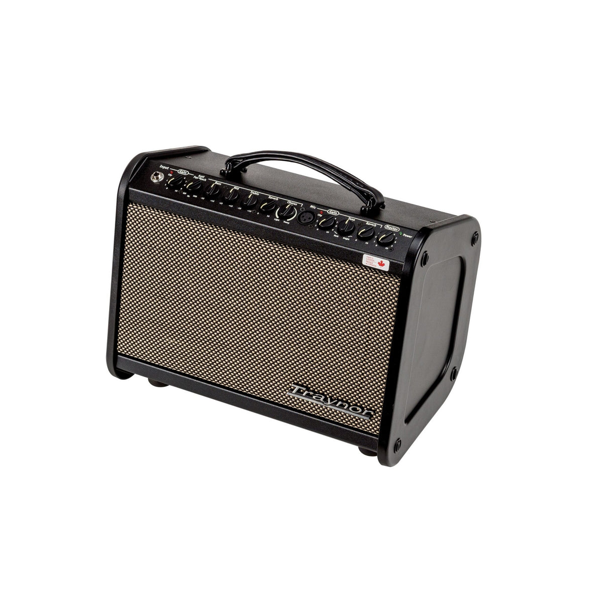 Traynor AM Mini 65 Watt Ultra Compact Acoustic Guitar Combo Amplifier - amps