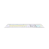 Logickeyboard LKB-DYSLEX-CWMU-US Dyslexie Keyboard, US English