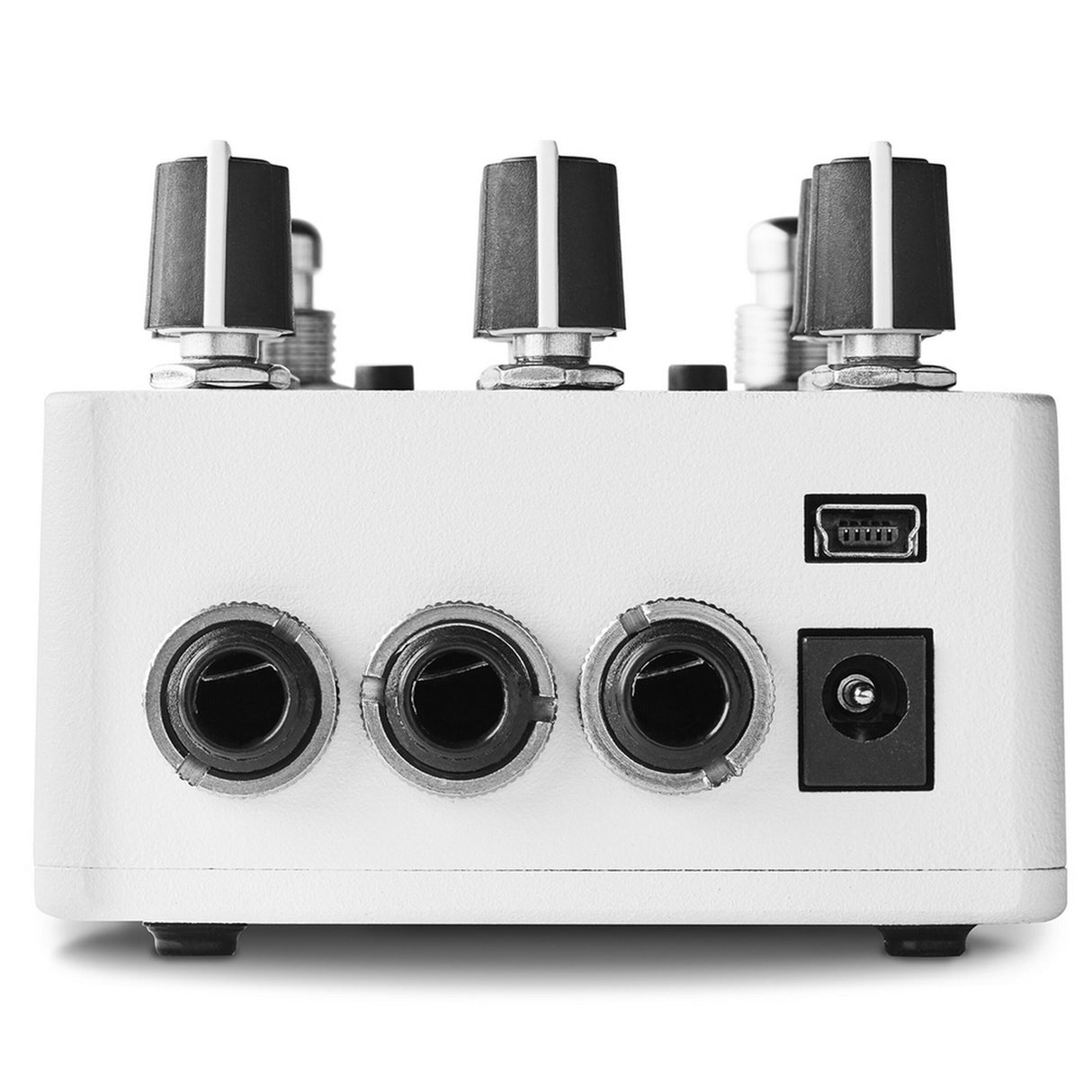 Red Panda Raster 2 Digital Delay Pedal