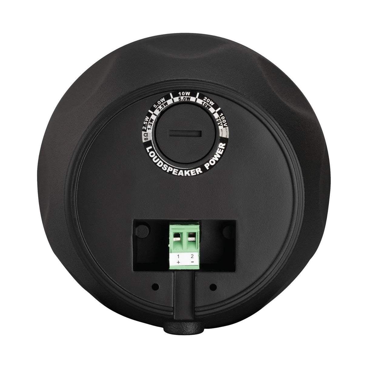 Beale Street Audio WP4V-BSC 4-Inch On-Wall/Pendant Speaker 20W Black