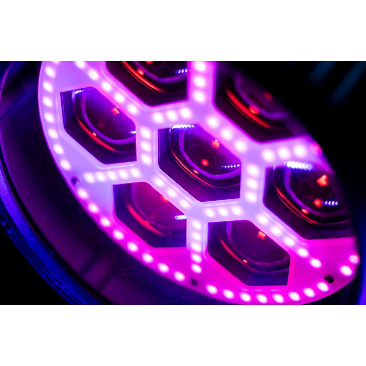 Blizzard Lighting Motif Settelenti 7x 40W 4-In-1 RGBW IP65-Rated LED Wash Fixture Black