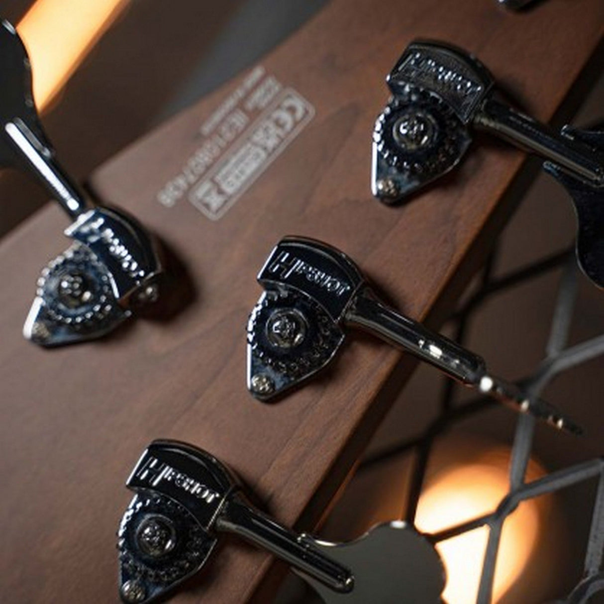 Cort GB-Modern 5 String Bass Guitar with Case - guitar