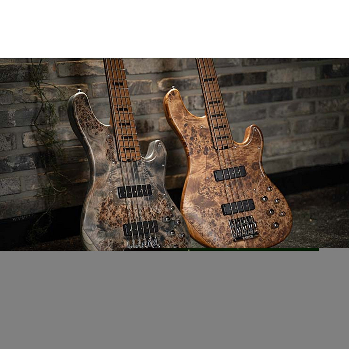 Cort GB-Modern 5 String Bass Guitar with Case - guitar