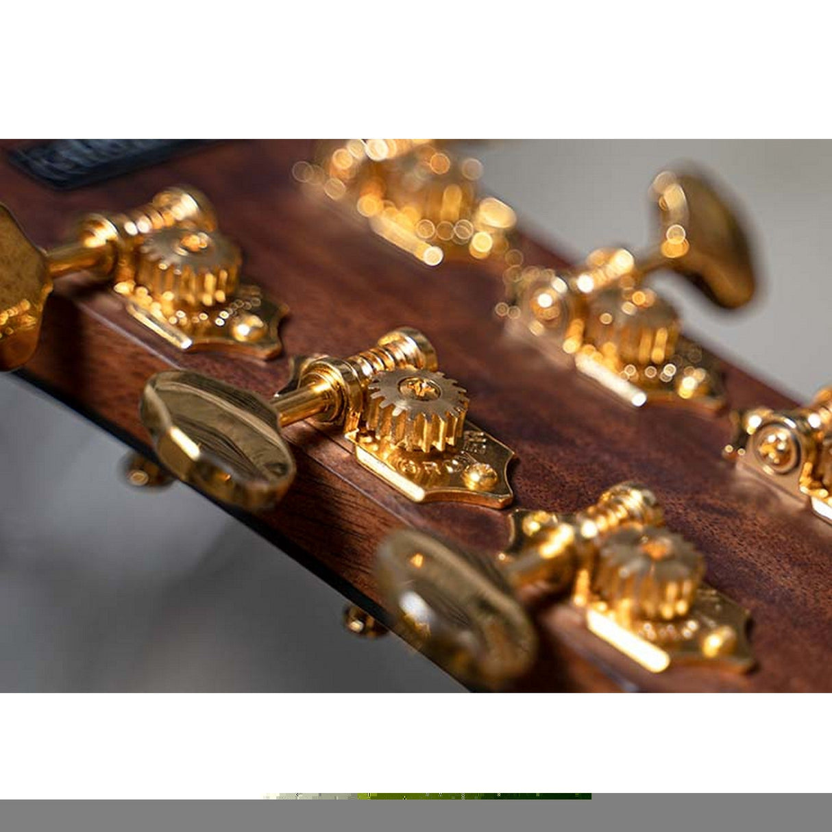 Cort GOLD A6 Acoustic-Electric Guitar Bocote Natural - guitar