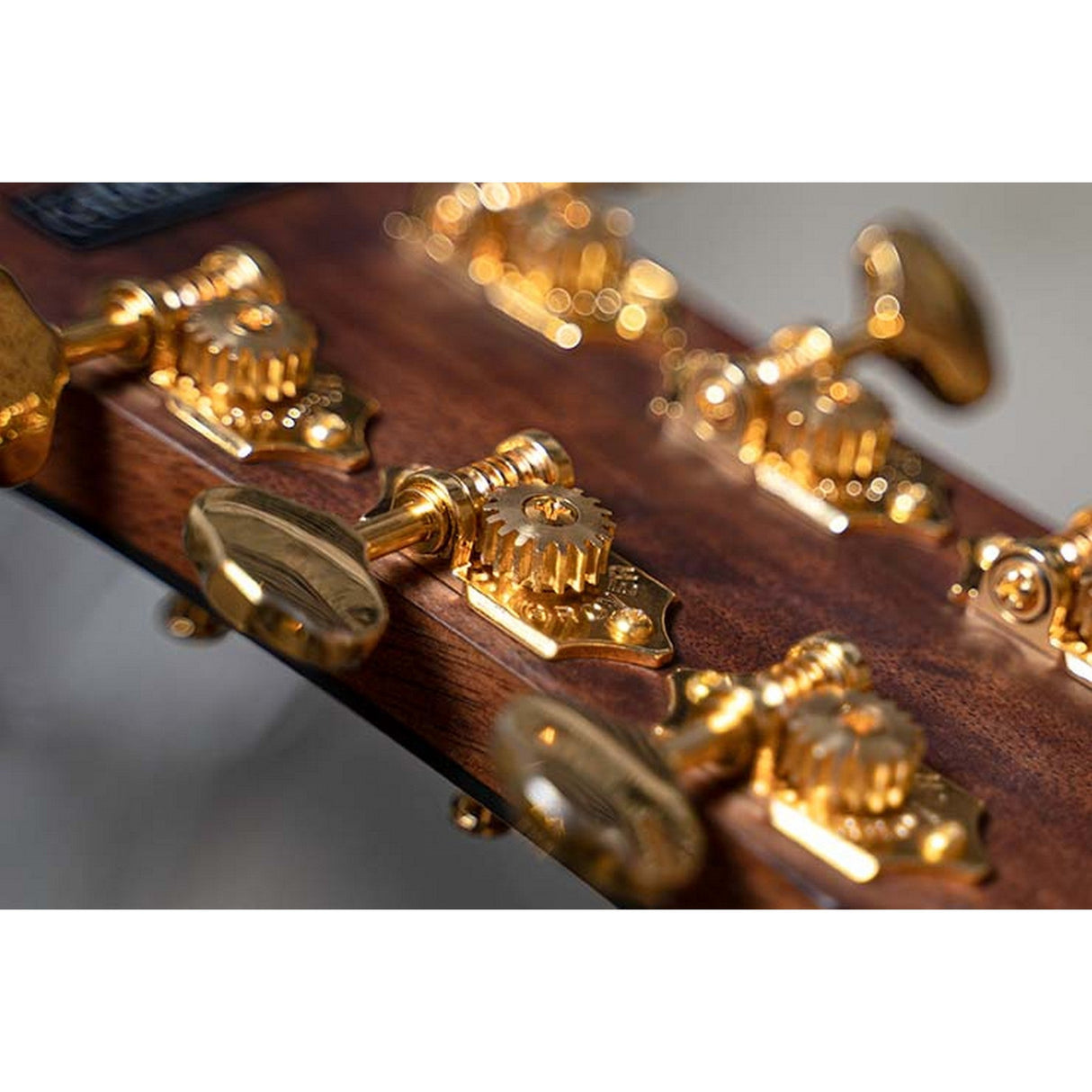 Cort GOLD OC6 Acoustic-Electric Guitar Bocote Natural - guitar