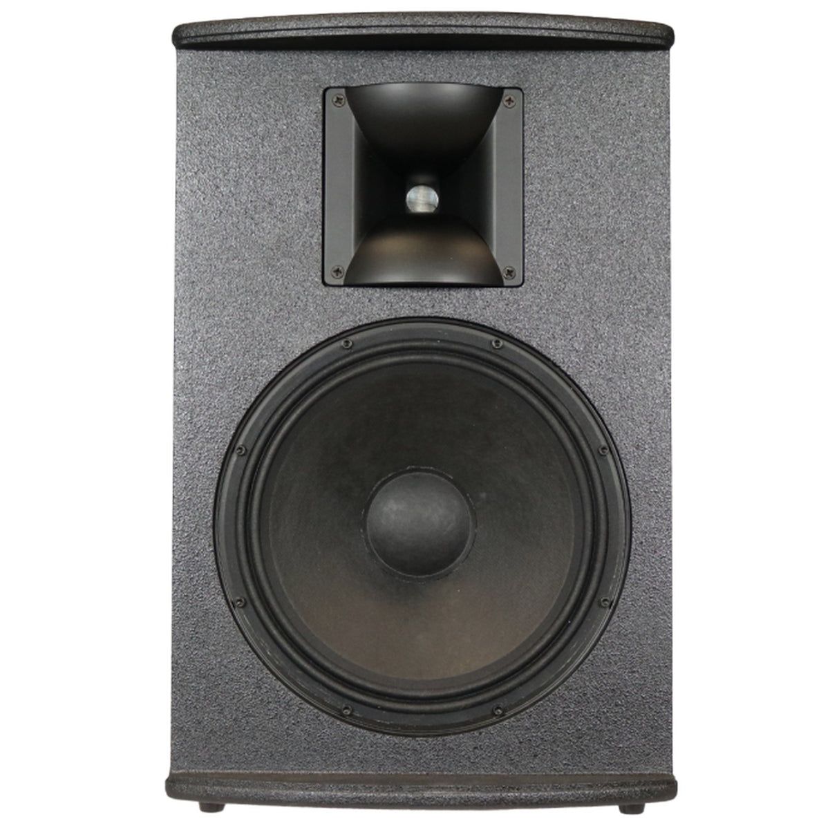 SoundTube PS1290i 12-Inch Passive Performance Series Loudspeaker