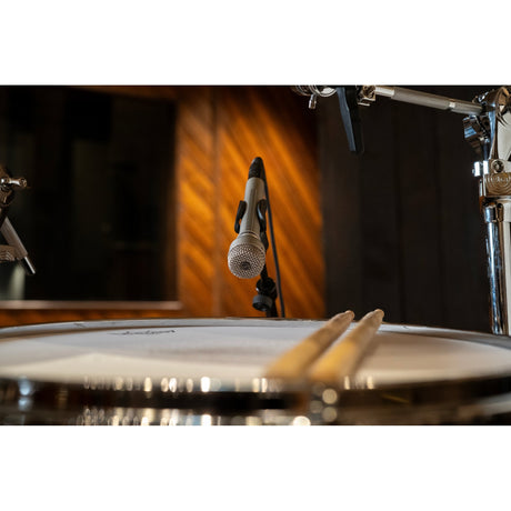 Warm Audio WA-19 Dynamic Cardioid Studio Microphone