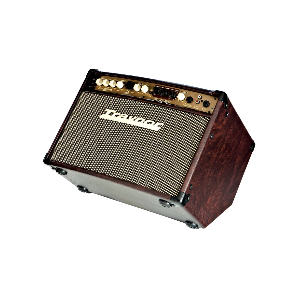 Traynor AM Studio 1 x 8 Inch 65 Watt Acoustic Guitar Combo Amplifier - amps