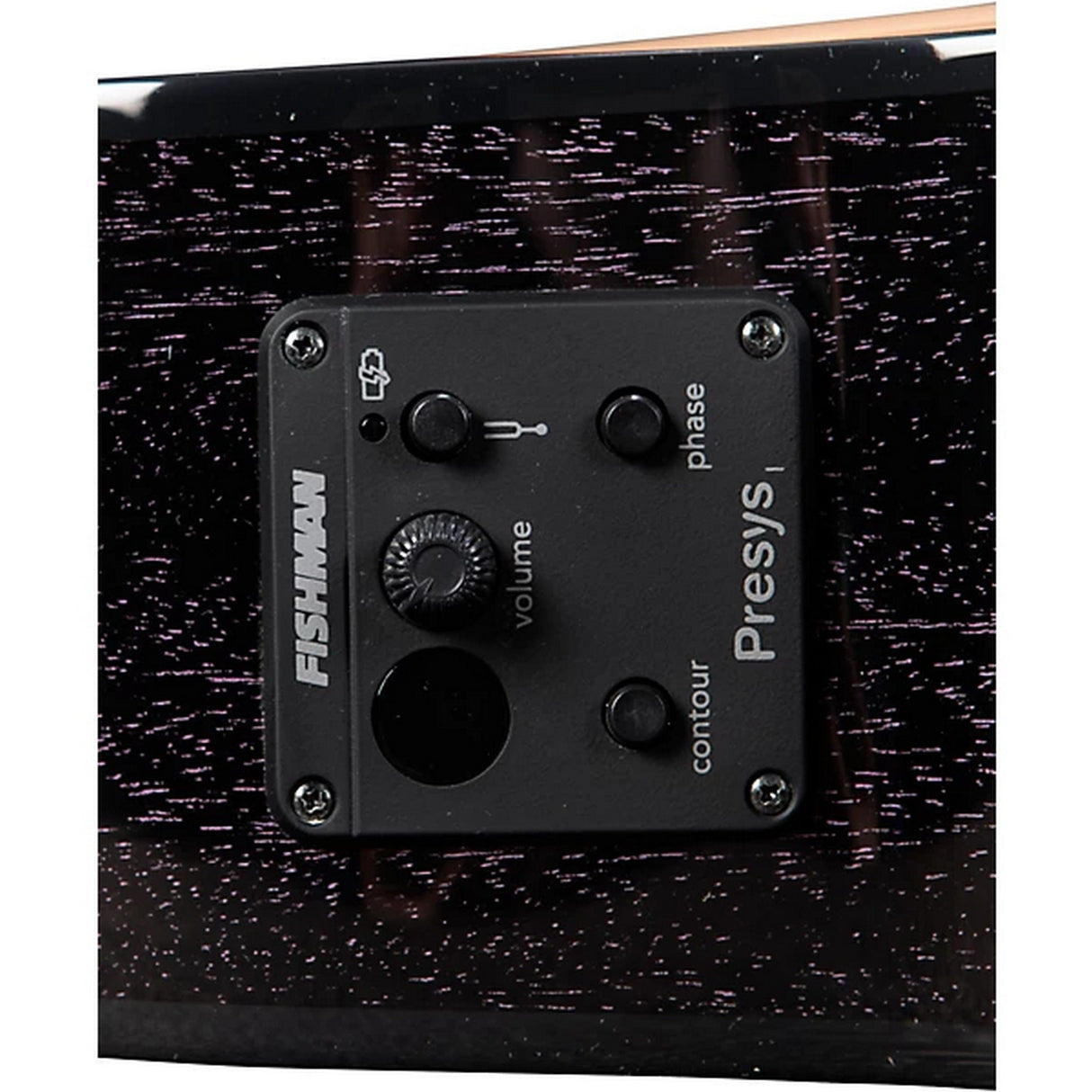 Breedlove Rainforest S Concert CE Acoustic-Electric Guitar, African Mahogany Finish