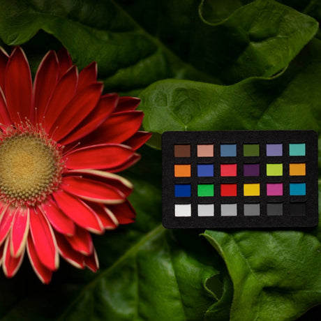 Calibrite ColorChecker Classic NANO for Capture and Editing Color Control