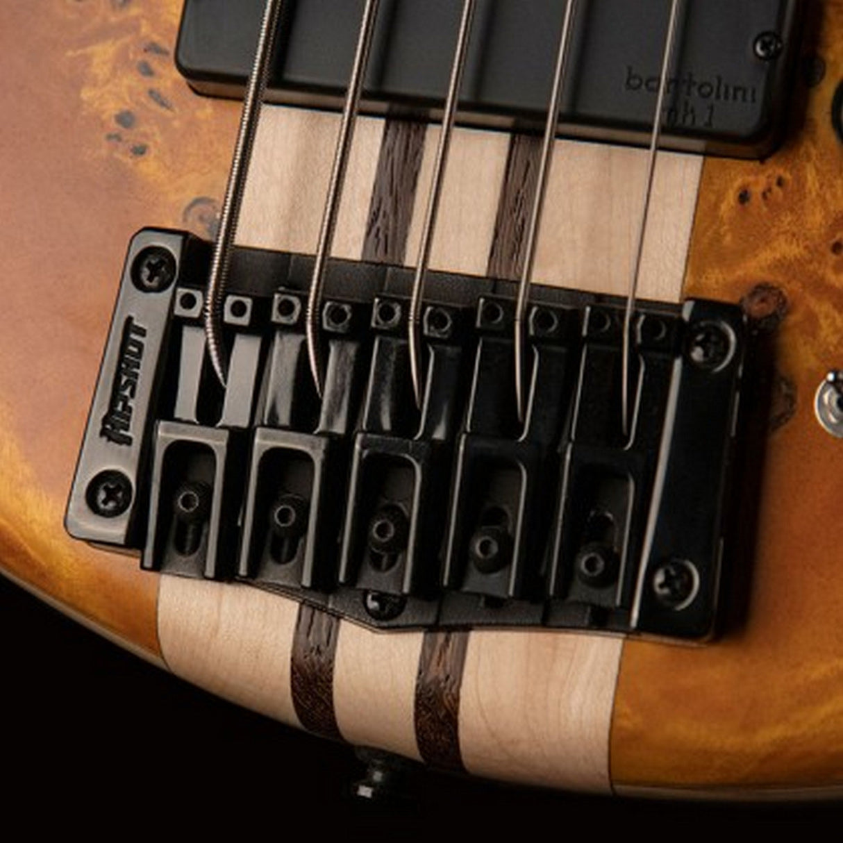 Cort Artisan A5 Plus SC 5 String Bass Guitar Amber - guitar