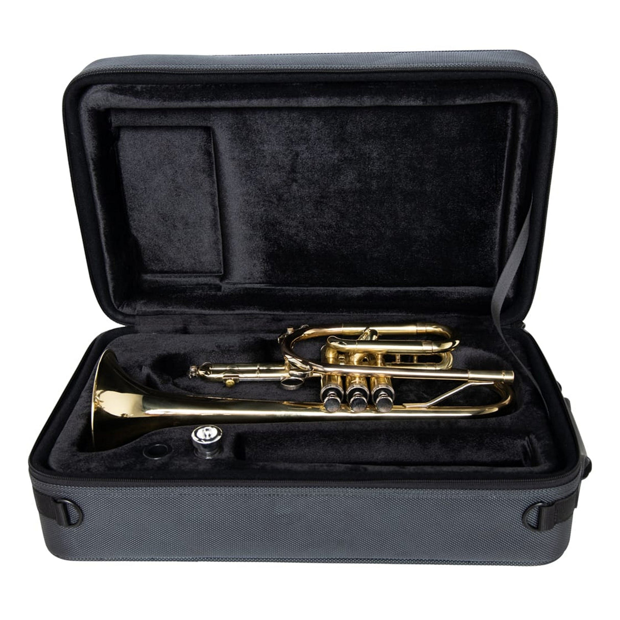 Gator GL-CORNET-23 Adagio Series Shaped EPS Polyfoam Lightweight Case for Cornet