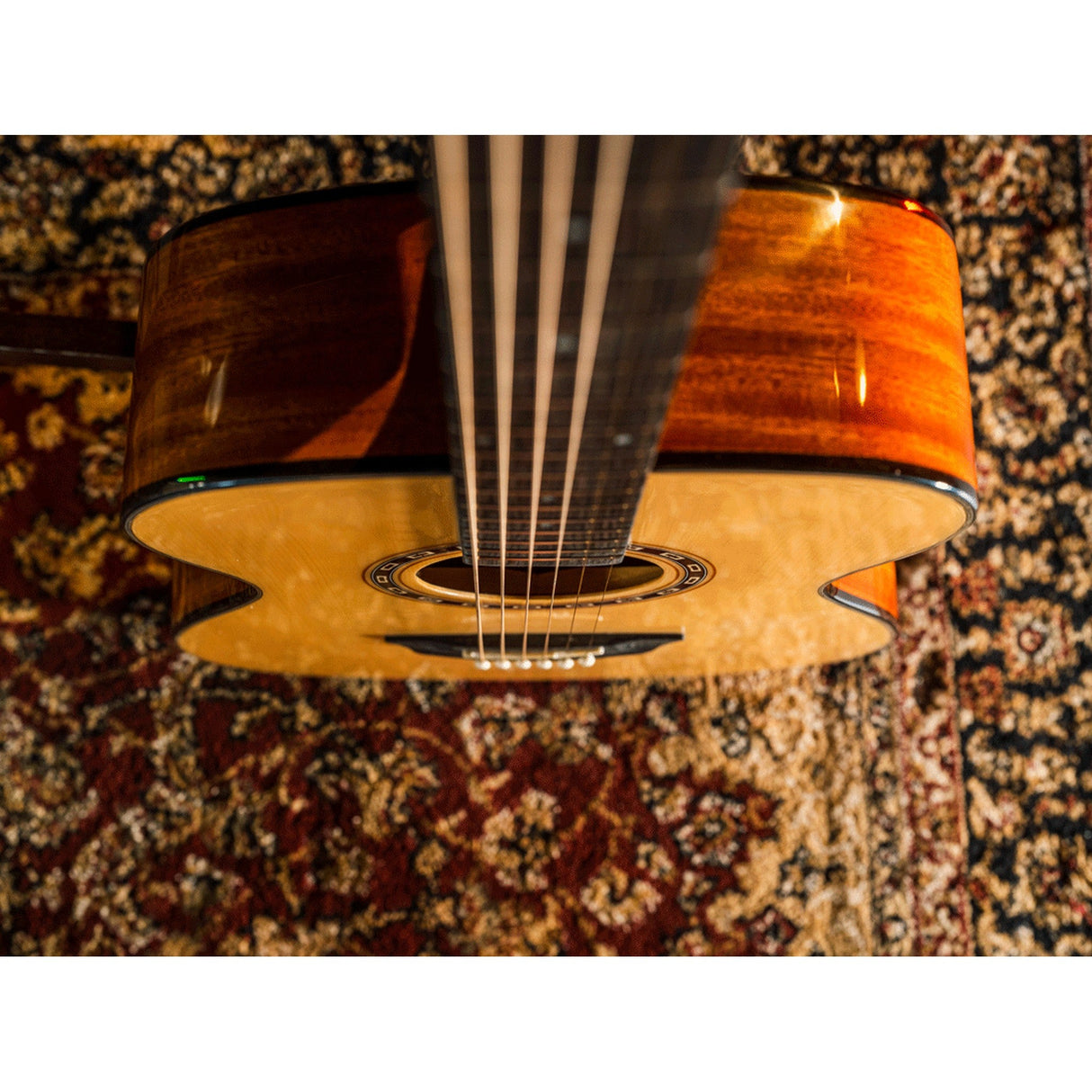 Washburn Apprentice 6-String Acoustic Guitar - guitar