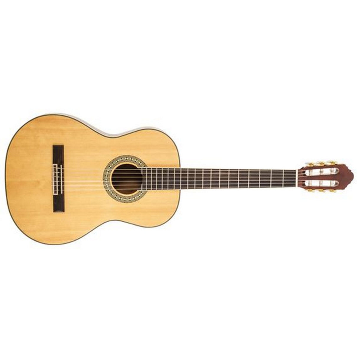 Peavey Delta Woods CNS-2 Classical Nylon String Guitar - guitar