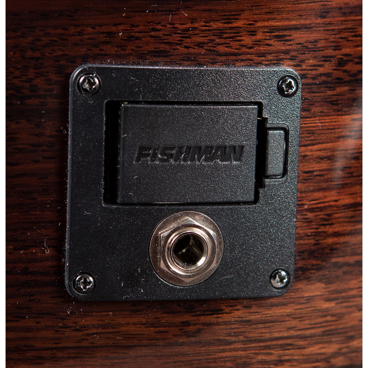 Breedlove Performer Pro Concert Thinline Aged Toner CE Acoustic Electric Guitar, Rosewood Finish