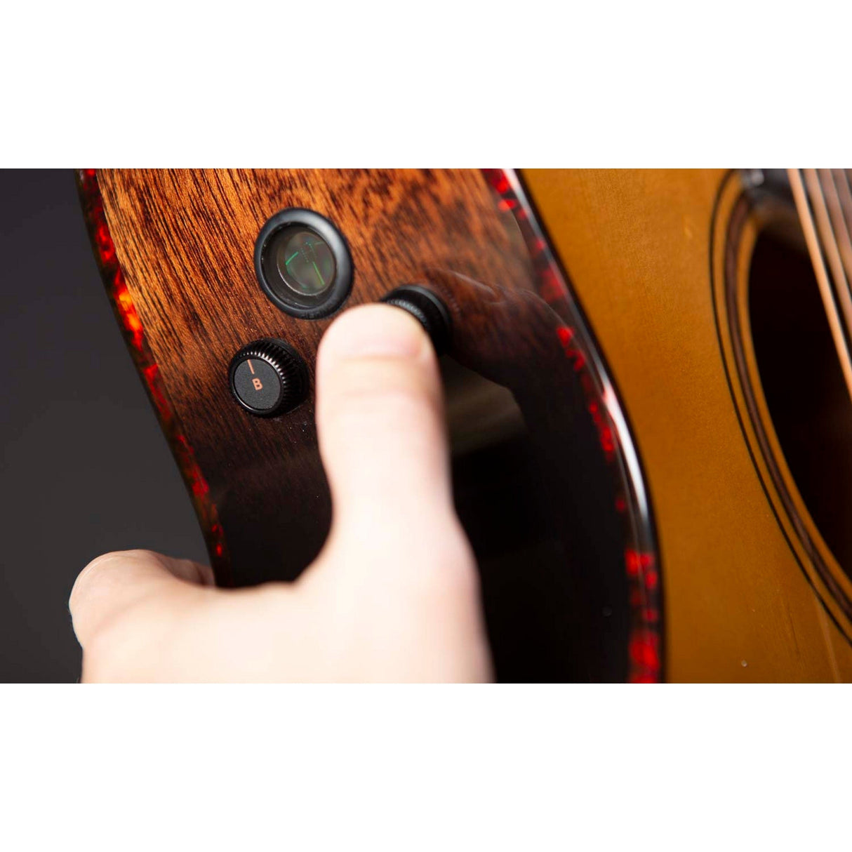 Breedlove Wildwood Pro Concertina Suede CE Acoustic-Electric Guitar, African Mahagony Finish