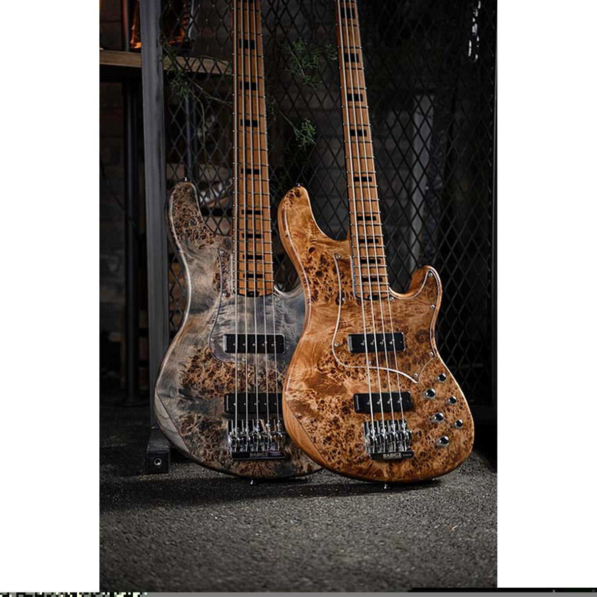 Cort GB-Modern 5 String Bass Guitar with Case - guitar